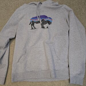 Women's Patagonia Light Gray Bison Graphic Hoodie